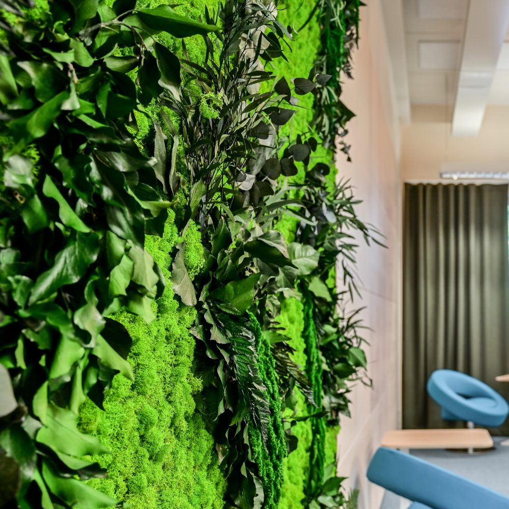 Sisu interior sisutusarkkitehtitoimisto toimitilasuunnittelu luovaan neuvottelutilaan. Viherseinän suunnittelimme sammaleesta, jäkälästä ja lehdistä. Vihreä kaarisohva ja siniset nojatuolit ovat liikuteltavissa ja tila on monitoimikäytössä.